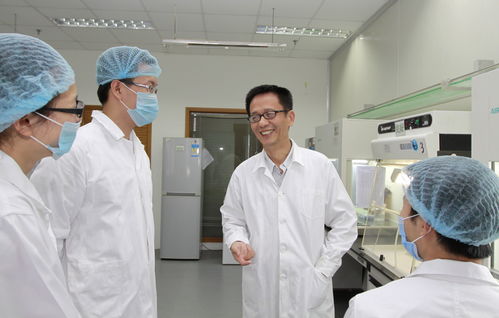 厦门市科技奖凸显企业创新主体地位，医药科技领域成果斐然引领高质量发展